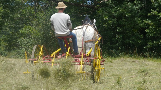 traction animale - matériel ancien hippomobile