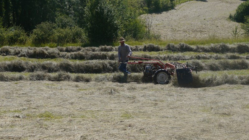 P1760140 (Copier).JPG