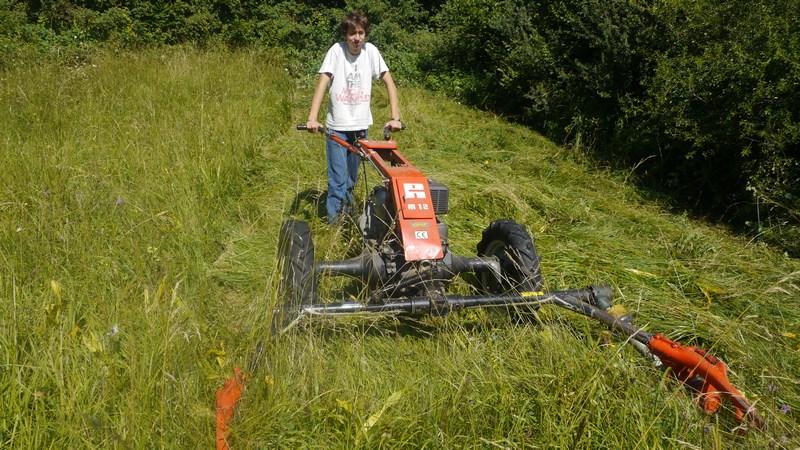 P1780164 (Copier).JPG