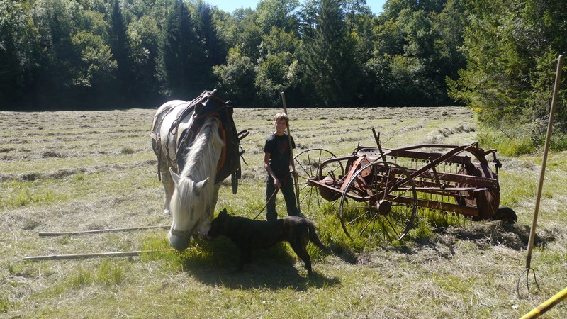 P1780606 (Copier).JPG