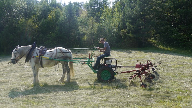 P1790908 (Copier).JPG